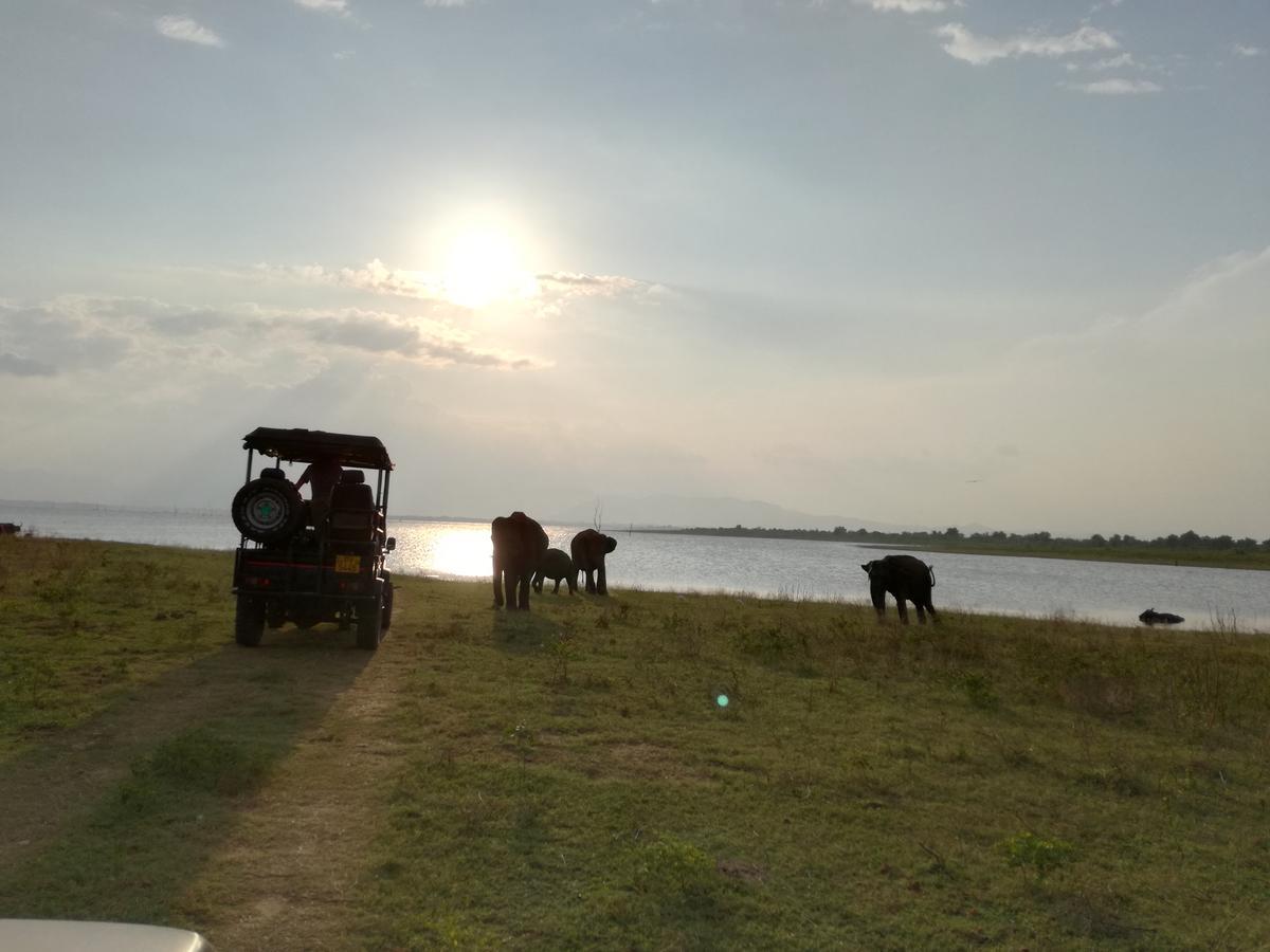 Induwara Safari Resort Удавалаве Екстер'єр фото