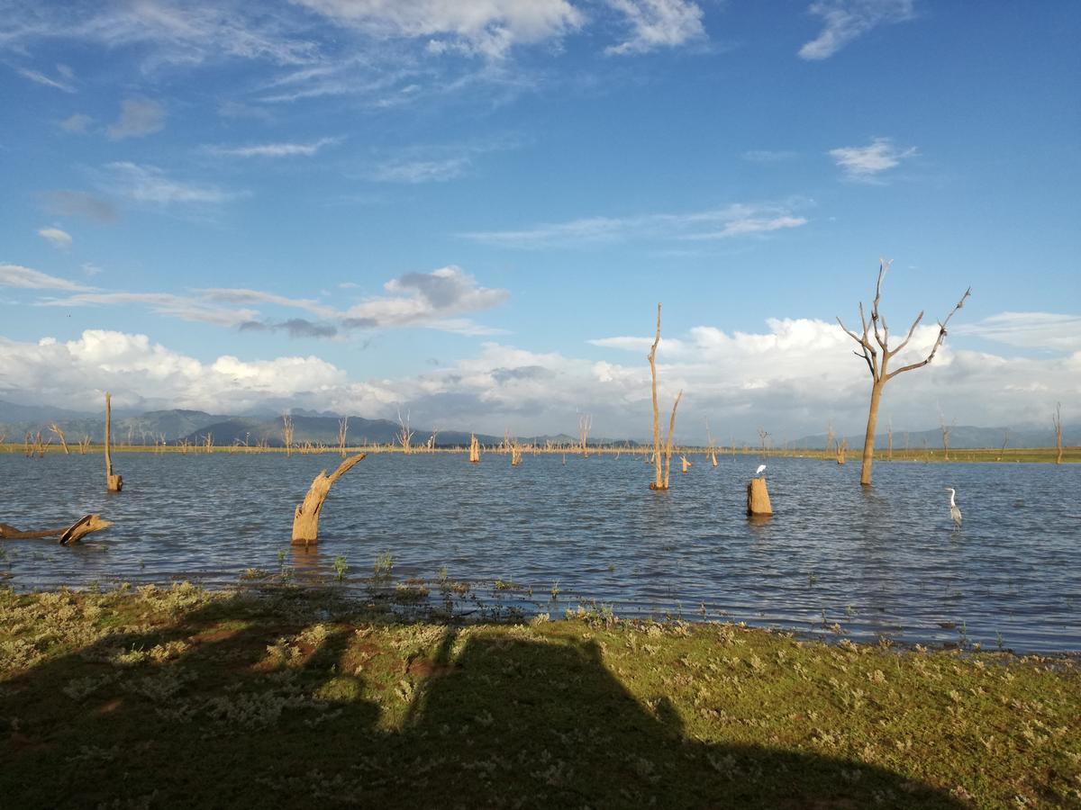 Induwara Safari Resort Удавалаве Екстер'єр фото
